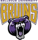Bellevue University